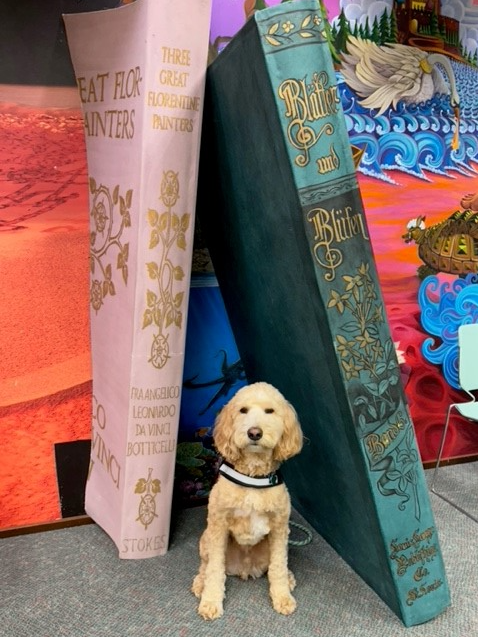 Read to Roscoe (independent readers)